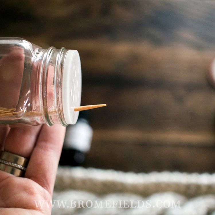 Cinnamon Toothpicks Brome Fields