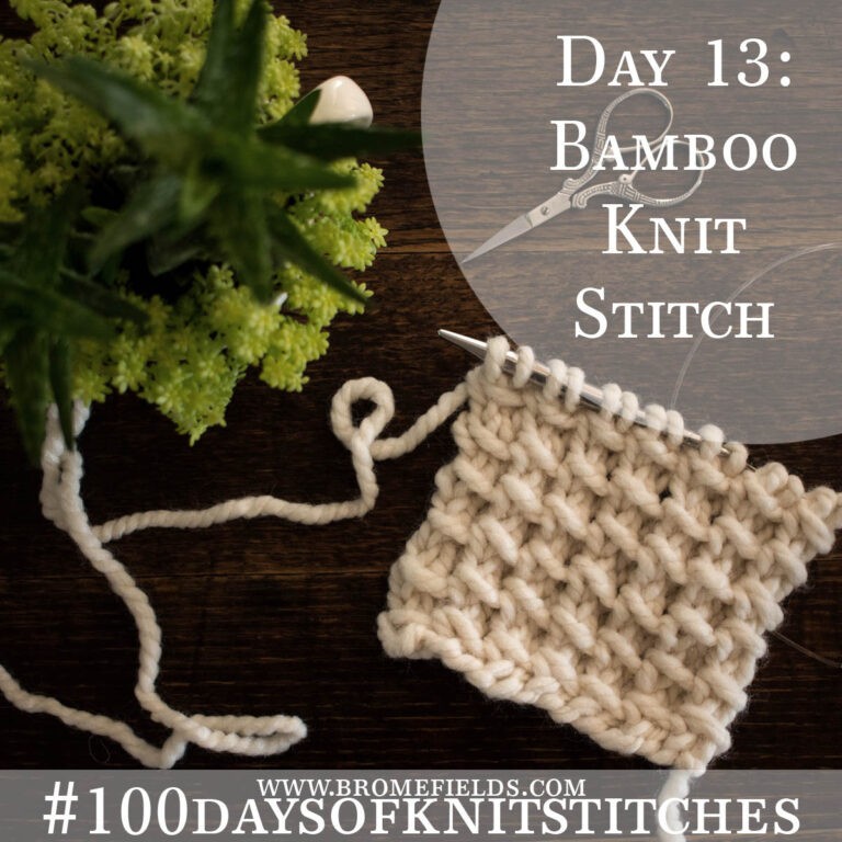 Day 13 : Bamboo Knit Stitch : #100daysofknitstitches