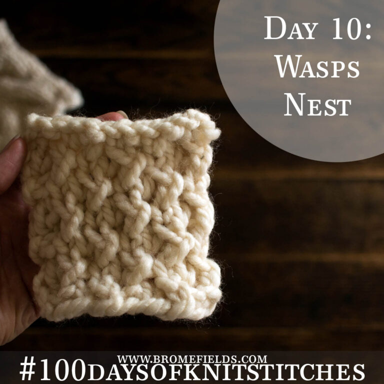 Day 10 : Wasps Nest Knit Stitch : #100daysofknitstitches