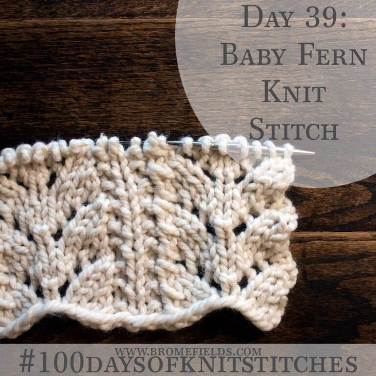 Baby Fern Knitting Stitch Pattern