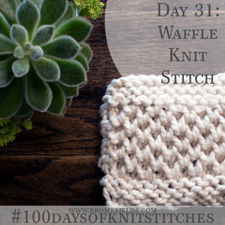 Day 31 : Waffle Knit Stitch : #100daysofknitstitches