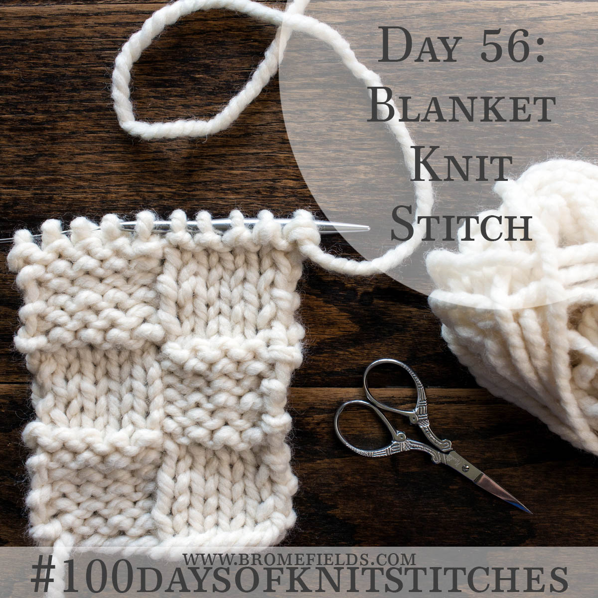 Blanket Beginner Knitting Stitch Pattern Brome Fields