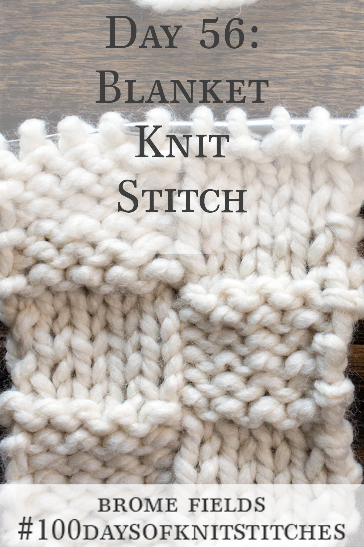 Blanket Beginner Knitting Stitch Pattern Brome Fields