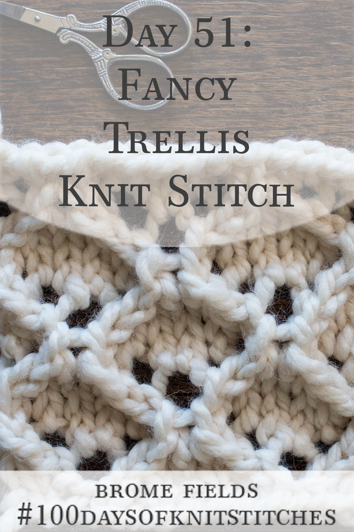 Fancy Trellis Lace Knitting Stitch Pattern Brome Fields