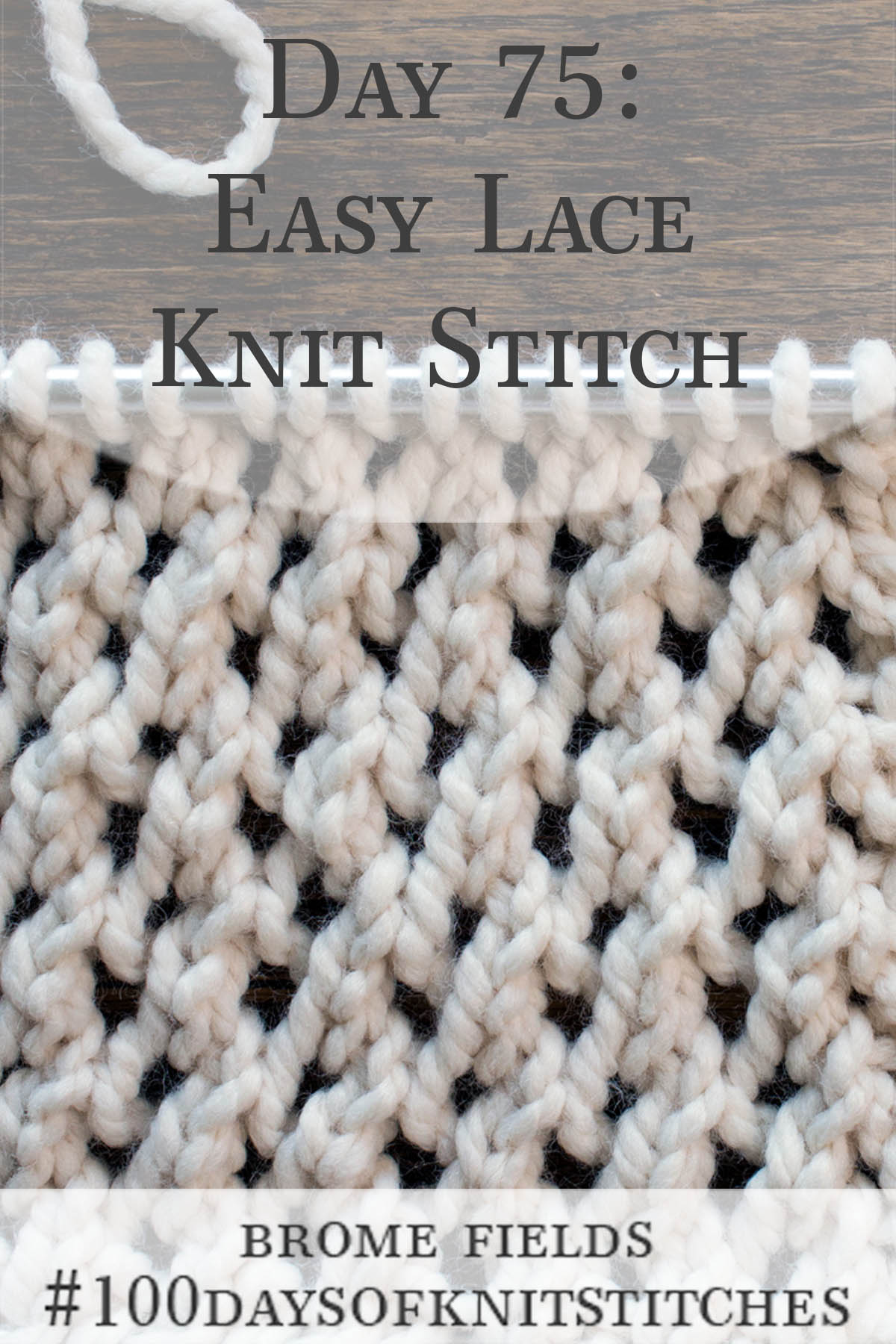 Easy Lace Knitting Stitch Pattern Brome Fields