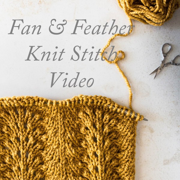 Fan and Feather Knit Stitch Video