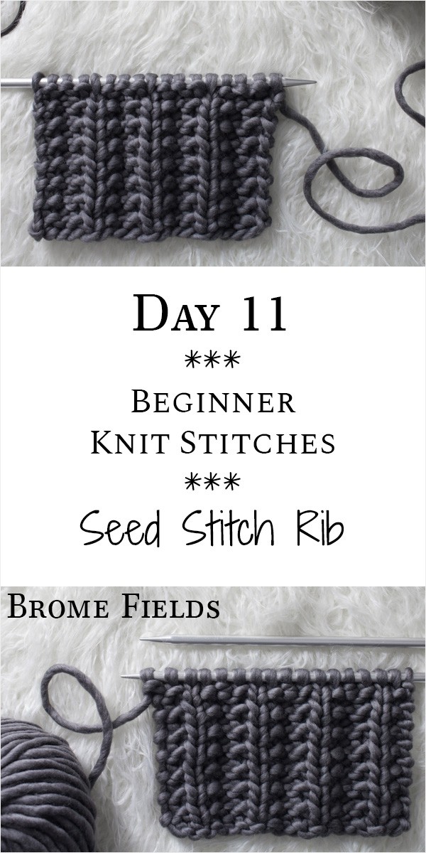 Seed Stitch Rib Knit Stitch : Day 11 of the 21 Days of Beginner Knit Stitches : Brome Fields