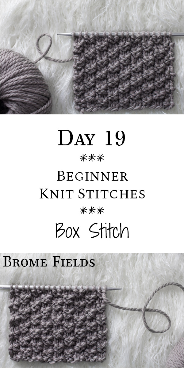 Box Knit Stitch : Day 19 of the 21 Days of Beginner Knit Stitches : Brome Fields