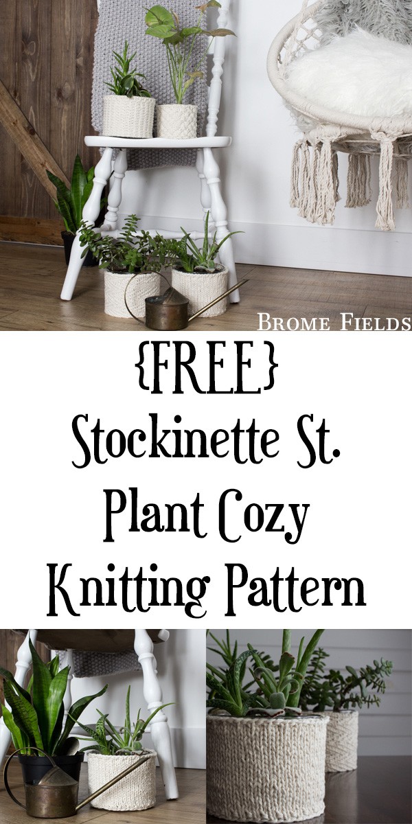 {FREE} Stockinette Stitch Plant Cozy Knitting Pattern