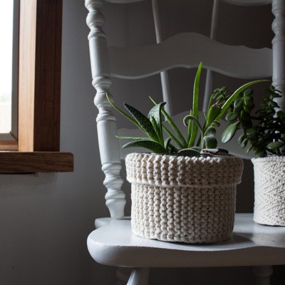 plant with a knitted cozy cover