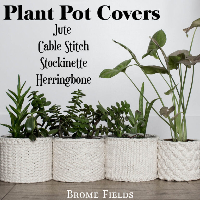 4 plant pot covers displayed with plants