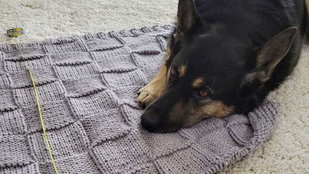 dog laying on a hand knit shrug