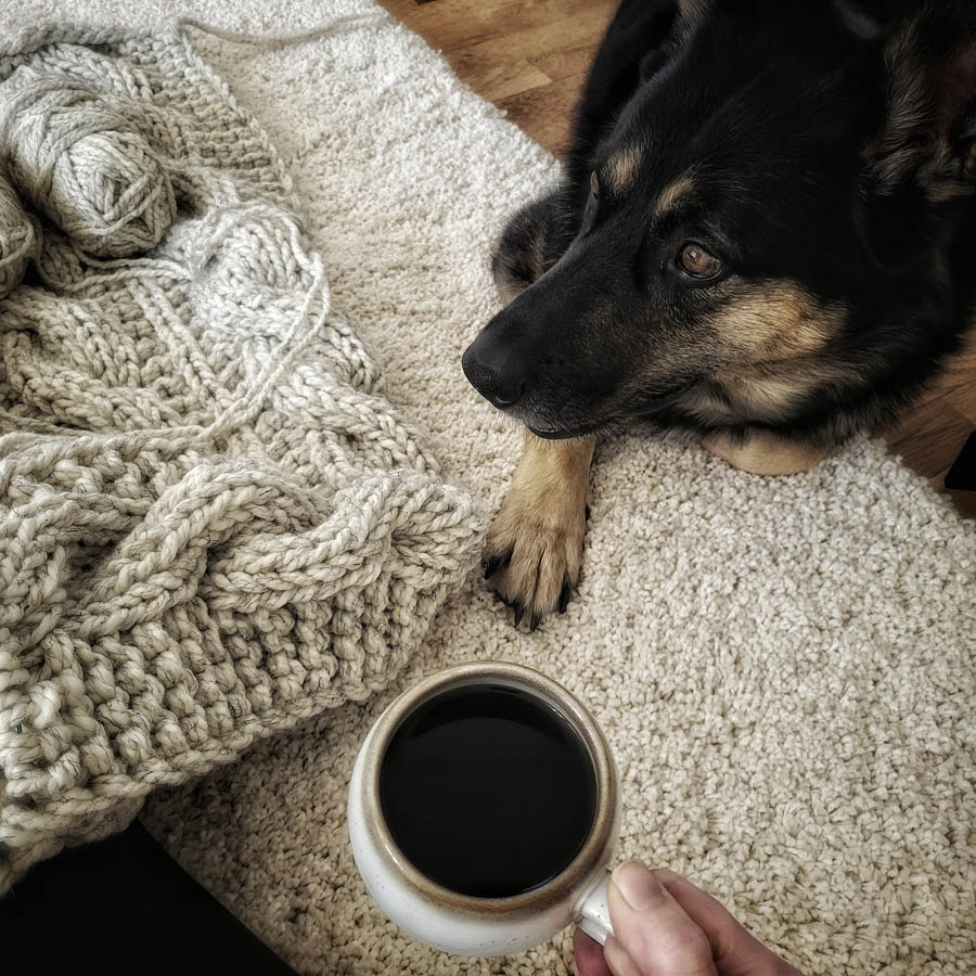 Cable knit blanket with a cup of coffee and German Shephard dog.
