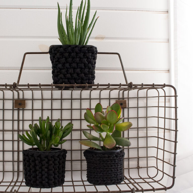 a potted plant with a jumbo cotton knitted cozy cover