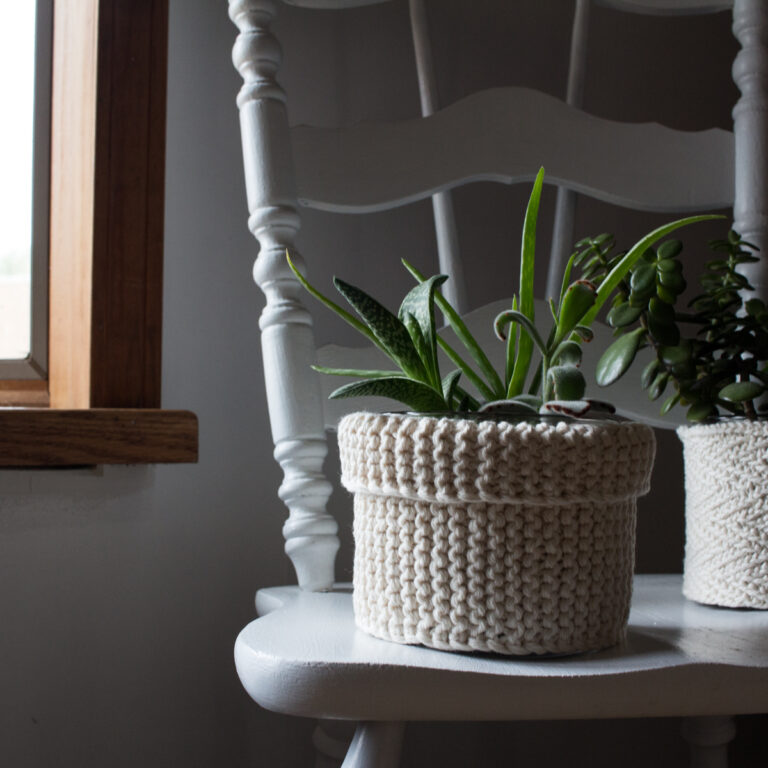 a potted plant with a knitted cozy cover