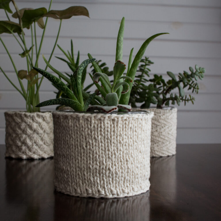 a potted plant with a knitted cozy cover