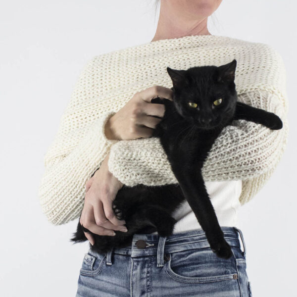 model wearing the squishiest sweater scarf holding a kitten