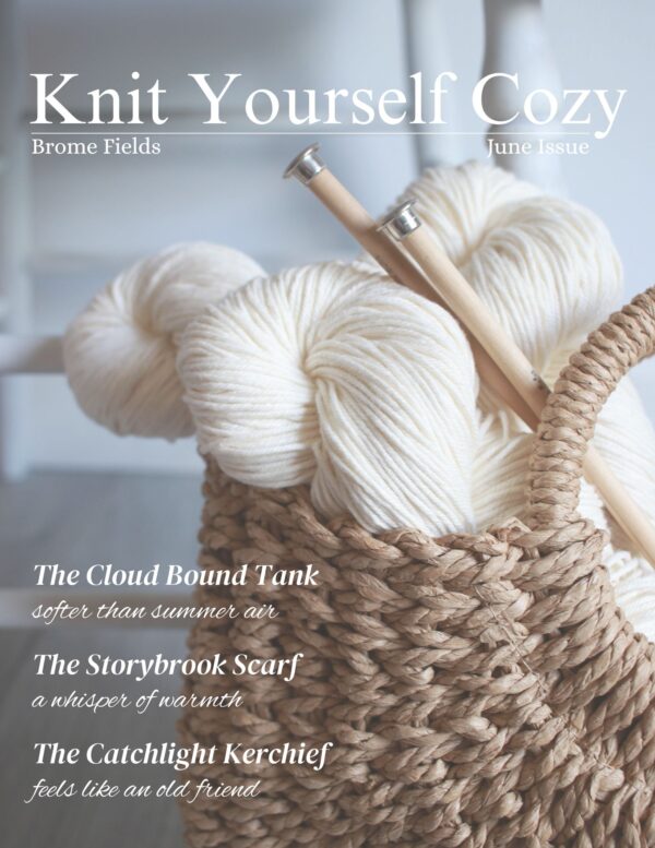 Chunky Knit Hat : FREE Knitting Pattern : Brome Fields
